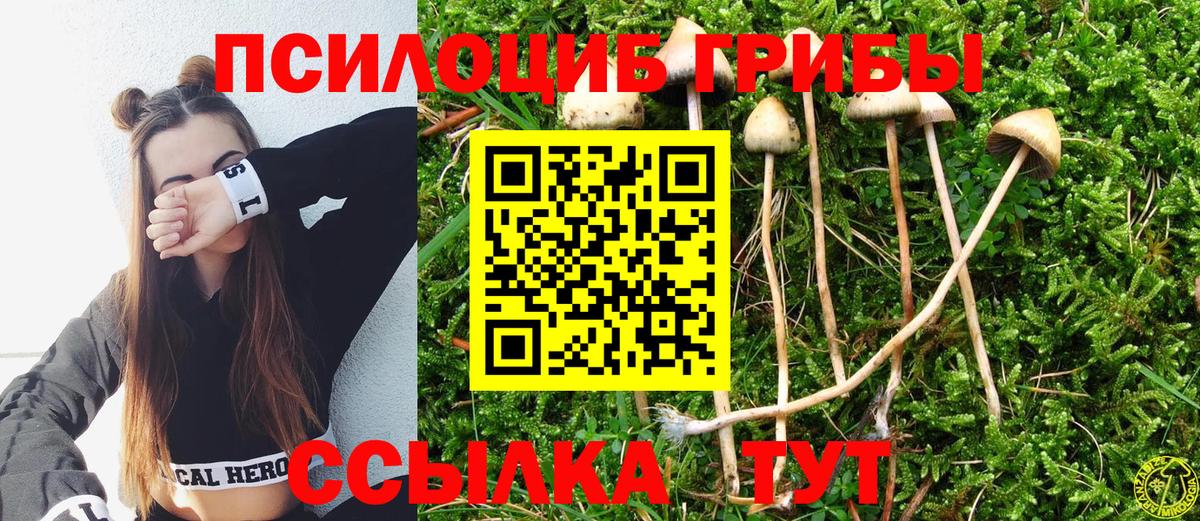Галлюциногенные грибы ЛСД  закладка  Электросталь  Вход с VPN 